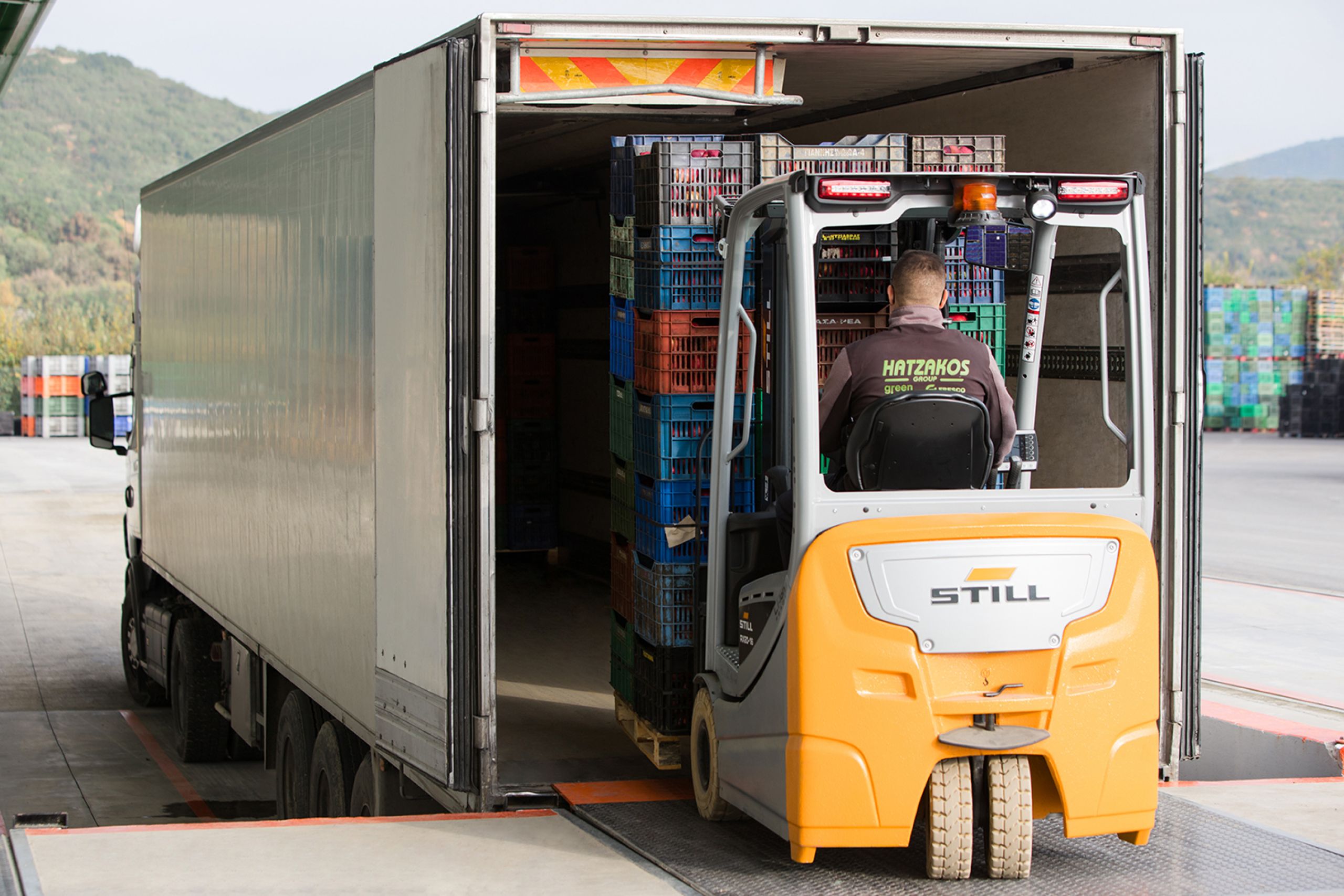 Hatzakos group Wholesale fruit