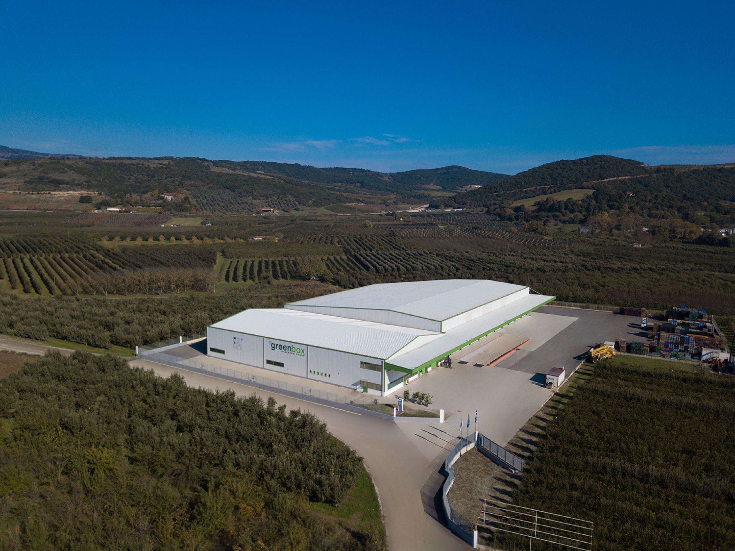 Hatzakos group Wholesale fruit