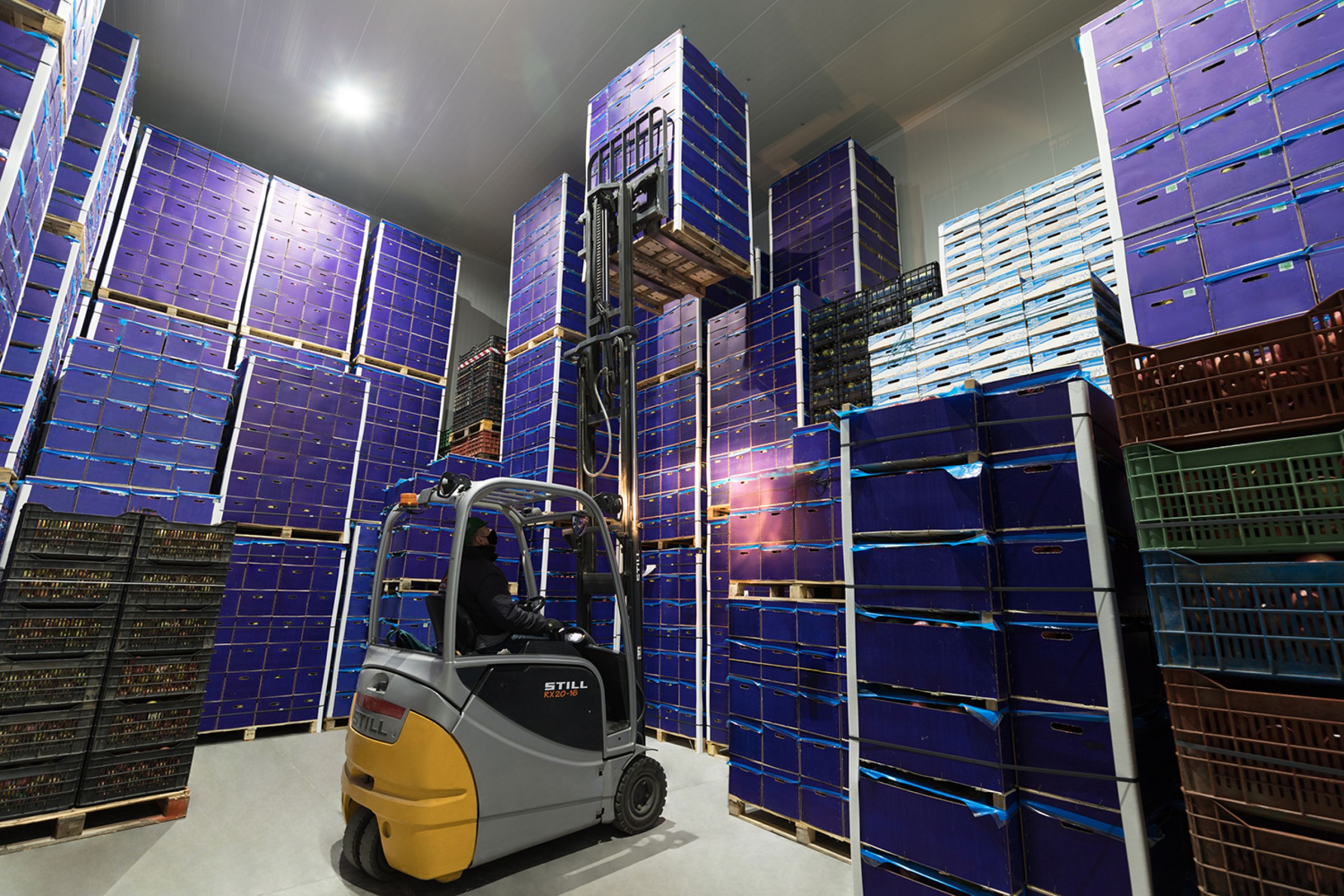 Hatzakos group Wholesale fruit