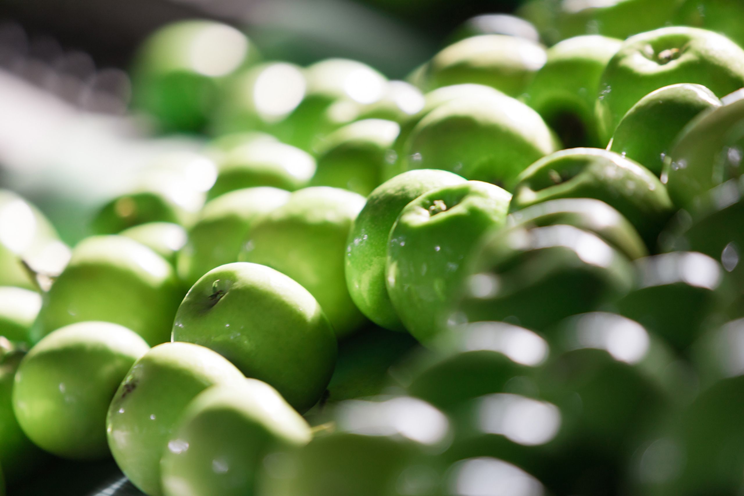 Hatzakos group Wholesale fruit